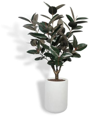 CG Hunter Faux Rubber Ficus Tree, Premium Artificial Indoor Plant Stands 5’ Tall, Lifelike-Leaves and Hand Painted Trunk Create Realistic Faux-Ficus Tree Appearance, Planter Pot Included