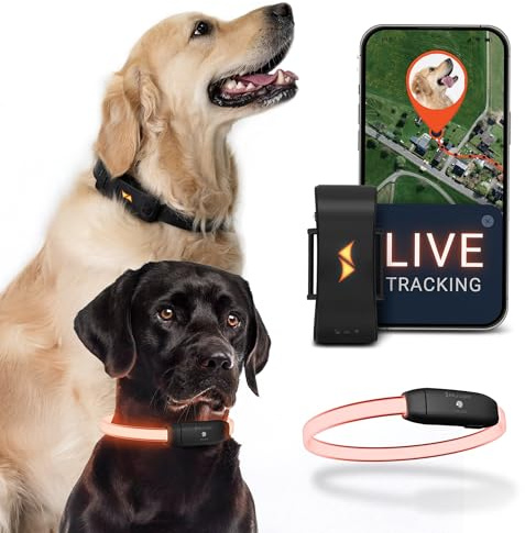 PAJ GPS – Collare LED Luminoso + GPS Tracker per Cani, Doppia Sicurezza, Localizzazione Live Mondiale + Visibilità Notturna, Mini GPS Tracker 4G per Cani, Allarme Anti-Fuga, 100% Impermeabile, Nero