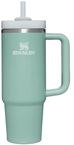 Stanley Adventure Eucalyptus 30 onzas – Vaso de enfriamiento al vacío reutilizable con pajita, tapa resistente a fugas, taza aislada, mantiene el calor frío, el calor y el hielo durante horas