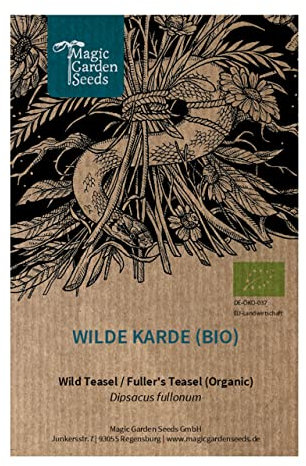 Wilde Karde (Dipsacus fullonum) Bio - ca. 100 Samen
