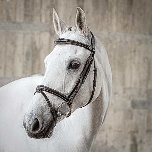 SUNRIDE Englisch kombinierte Trense für Pferde (London) - mit Zügeln - weiches Echtleder - extra Polsterung - anatomisch, verstellbar - handgefertigt - mit Ziernähten - rostfrei - braun (Full)