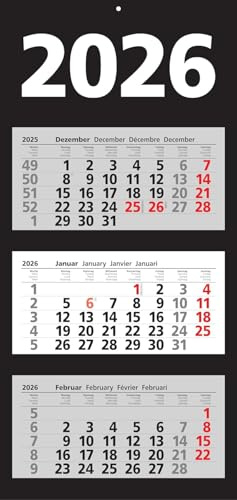 Herlitz Calendario de pared de 3 meses 2026 con indicador diario (1 pieza, 3 meses)