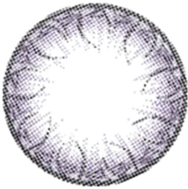 Matlens – EOS Farbige Kontaktlinsen ohne Stärke violet lila Big eyes NABI 2 Linsen 1 Kontaktlinsenbehälter 1 Pflegemittel 50ml