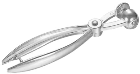 TIDTALEO Snocciolatore in Acciaio per Ciliegie e Datteri Strumento Preciso per Rimuovere Noccioli Senza Danneggiare Frutta Utensile Cucina Versatile e Resistente