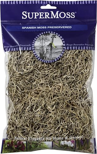 Arett Preserved Spanish Moss, Natural