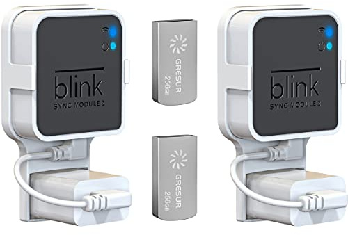 Chiavetta USB da 256 GB per archiviazione video locale con supporto Blink Sync Module 2 (modulo Blink Add-On Sync 2 non incluso), confezione da 2
