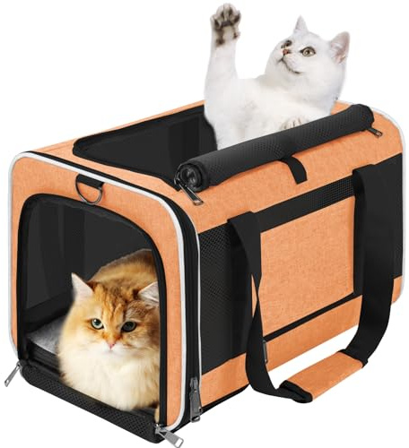 GAPZER Large Cat Carrier Soft, Collapsible Travel Pet Carry Bag, Small Dogs