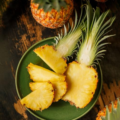 semi resistenti di ananas, acquistare da nani resistenti esotiche colonnare giardino di balcone vecchie 35pcs