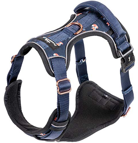 FREUDENTIER Hundegeschirr mit Griff & atmungsaktiver Polsterung - Höchster Komfort, fester Sitz & maximale Sicherheit - Anti Zug - Lets get Foxy Kollektion - Für kleine, mittelgroße & große Hunde (XL)