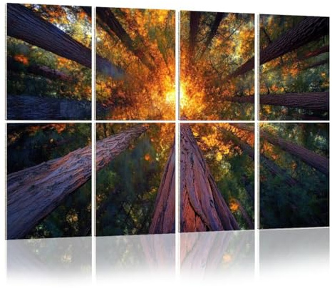 8 Pack Acoustic Wall Panels Sound Absorbing Wall Art acoustic foam redwood trail trees forest sequoiass pictures 48x32 Sound Proofing Panels for walls Decorative Noise Dampening