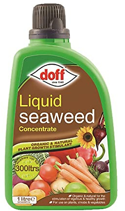 SuperGift Multi-Purpose Liquid Seaweed Concentrated Feed, Organic and Natural Plant Growth Stimulant (1L Liquid Seaweed)