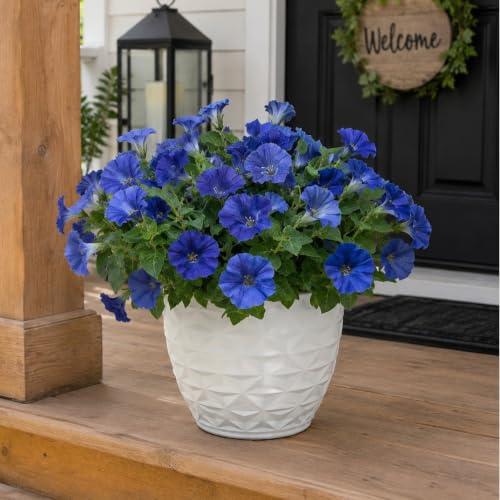 Aisamco 6 Bundles Rose Red Morning Glory Outdoor (Blue) | Artificial Flowers, UV Resistant, Home Planter, Porch Patio Yard, Garden Balcony Décor, Faux Silk Blooms, Eucalyptus Mix