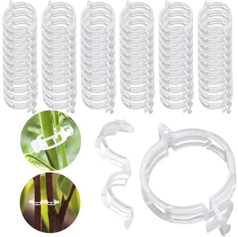 shallyong Tutor Tomatera, 300 Piezas Cañas para Tomateras, Clip para Tomate. Anillas de Entutorar Pepino, Calabacín, Berenjena, Tomate, Etc, Fijación, Guiado, Sujeción, Entutorar, Atado