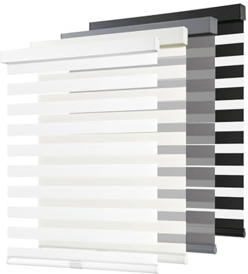 AOSKY Cordless Zebra Blinds for Windows Pull Down Roller Window Shades Dual Layer Light Filtering Privacy for Day and Night, Free-Stop Door Shades for Home Easy to Install (24 W X 72 H, White)