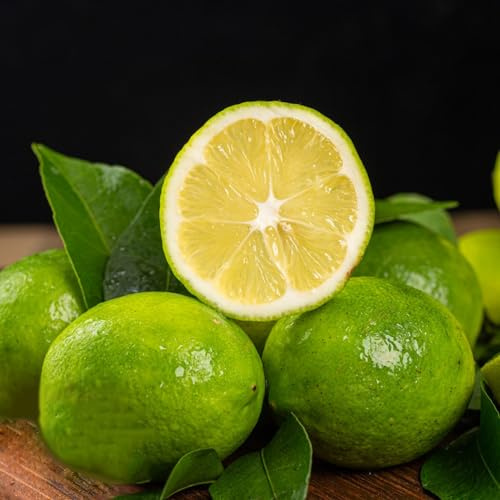 semillas de limonero, variedades antiguas huerta limonero columnar de balcón enanos, resistentes columnares extraño 80pcs