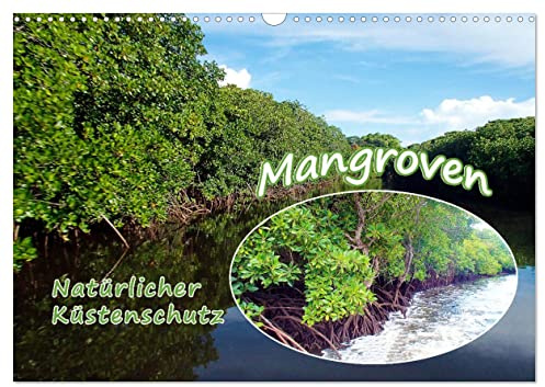 Mangroven - Natürlicher Küstenschutz (Wandkalender 2026 DIN A3 quer), CALVENDO Monatskalender: Mangrovenwald, ein einzigartiges Biotop! (CALVENDO Natur)