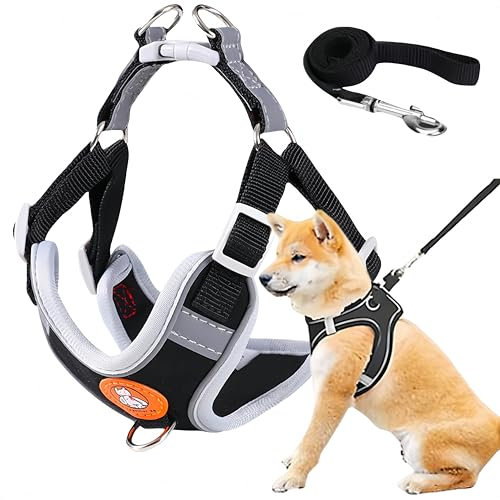 Cutiolly Hundegeschirr XS, Anti-Zug Reflektierend, Atmungsaktiv, Katzen & Kleine Hunde, Hals: 31-41 CM, Brust: 41-50 CM