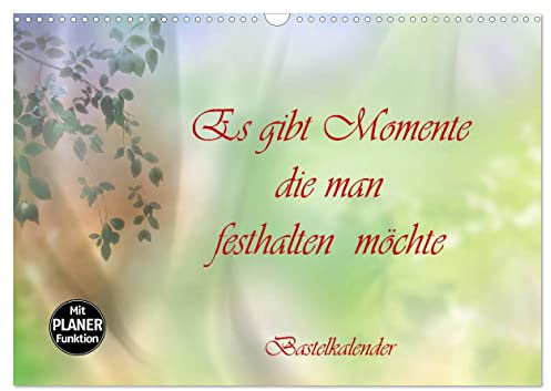 Es gibt Momente die man festhalten möchte (Wandkalender 2026 DIN A3 quer), CALVENDO Monatskalender: Bastelkalender zu Selbstgestaltung, für Ihre besonderen Erinnerungen (CALVENDO Kunst)