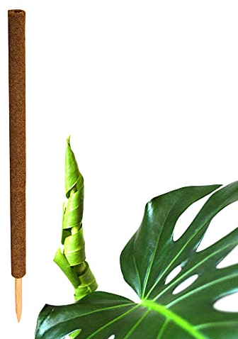 BigDean Pflanzstab Kokos 110 cm - Monstera Rankhilfe Rankstab Stab Moosstab Pflanzenstab Kokosstab für Pflanzen - aus natürlicher Kokosfaser - verlängerbar