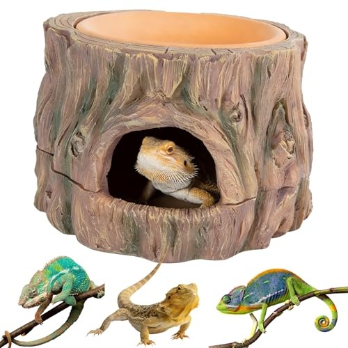 GOEDCH 3-i-1 reptiler gömma grotta reptiler skydd: Reptil grotta, terrariumtillbehör, amfibier gömställe med fuktgivande, för gecko, ödla, skäggdrake 16,2 × 15,2 × 1,5 cm