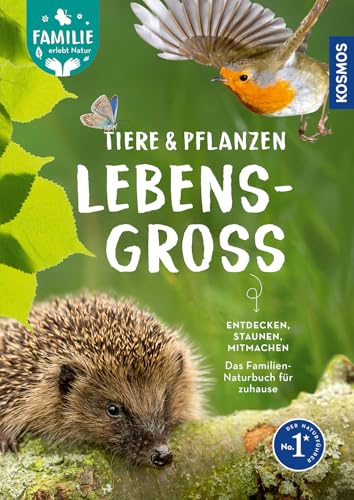 Tiere und Pflanzen lebensgroß: Rund ums Jahr die Natur entdecken. Mit über 100 Arten in Lebensgröße und vielen Mitmach-Ideen. - Familie erlebt Natur