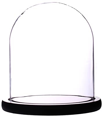 Artlass Glass Cloche Bell Jar Display Dome with Black Wooden Base 6 x 7