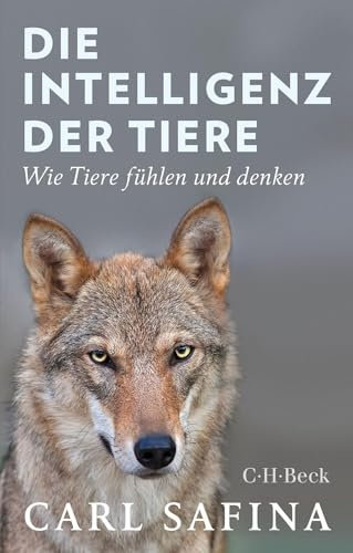 Die Intelligenz der Tiere: Wie Tiere fühlen und denken (Beck Paperback)