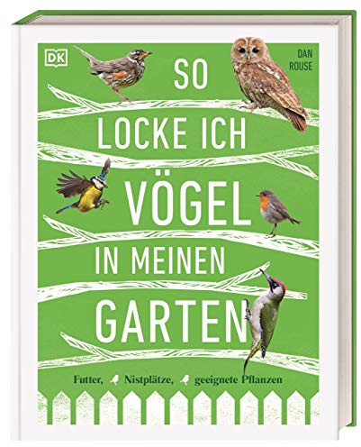 So locke ich Vögel in meinen Garten: Futter, Nistplätze, geeignete Pflanzen