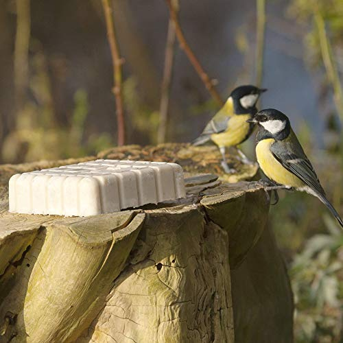 Vivara CJ Wildlife Fettblock für Wildvögel – Wildvogelfutter mit Insekten – Hochkalorisch 60% Fett – Proteinpur 15% Eiweiß – Ohne Weizen – Energieblock für Wildvögel