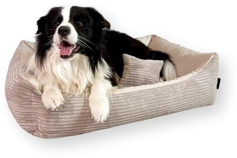 4L Textil Molly Kuscheliges Hundebett Bezug abnehmbar und waschbar Hundekorb mittelgroße Hunde Hundekissen flauschig Hundekörbchen Hundesofa (60x40 cm, Beige)