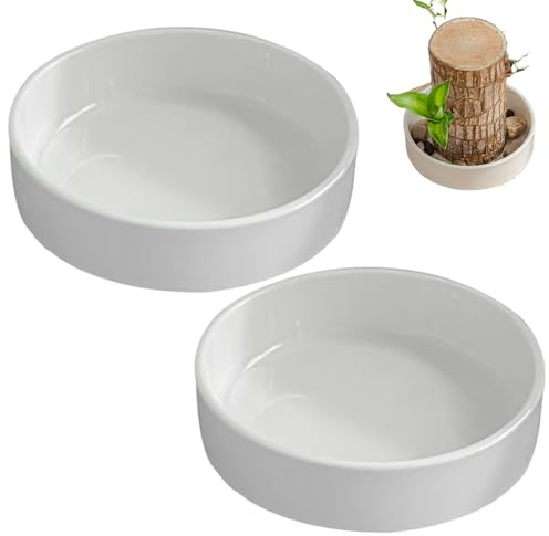 Maceta de Madera Brasileña con Paleta y Bandeja de Cerámica - Maceta Pequeña para Jardín