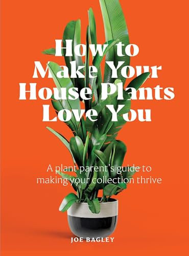 How to Make Your Houseplants Love You: Expert Answers for Plant Parents