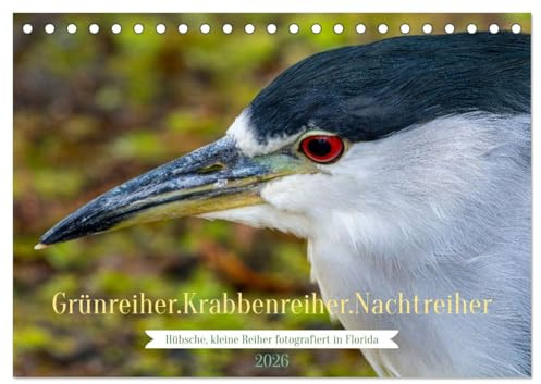 Grünreiher - Krabbenreiher - Nachtreiher (Tischkalender 2026 DIN A5 quer), CALVENDO Monatskalender: Drei kleine, kompakte Reiherarten, die nicht dem ... werden vorgestellt. (CALVENDO Tiere)