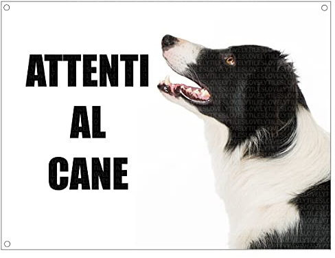 BORDER COLLIE attenti al cane mod 1 TARGA cartello IN METALLO (15X20)