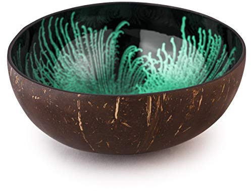 Kaloogo Cocobowl Splash Cuenco de decoración de coco (Menta, pulido)