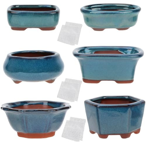 happy bonsai 6 pc Mini Glazed Pots Value Set + 6 Soft Mesh Drainage Screens