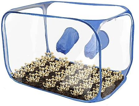 banapoy Still Air Box, Mycology Fume Hood Propagation Stations Up Kit Tente de Culture de Champignons, Conteneur de Culture Champignons Portable pour Spores Fournitures