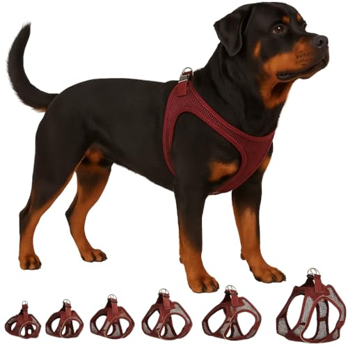 Flamingo Harnais pour Chien Step&Go Bento Aubergine XXL - A:52-57cm B:56-62cm x 3mm - Réglable avec Bandes Réfléchissantes – Idéal pour Border Collie, Dalmatien, Golden Retriever & Berger Australien