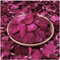 200g Pétalos de Rosa Secos Naturales Flor Real Pétalo de Rosa Roja Seca para Pies Baño Cuerpo Baño SPA Boda Confeti Hogar Fragancia DIY Artesanías Accesorios de Manualidades Biodegradables