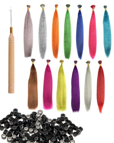 TOZBLEU extensiones de cabello - 13 pcs Kits Extensiones de Pelo Colores, Sintetico Extensiones de Plumas para el Pelo, 100Pcs Cuentas, 1pcs Gancho,Mechas Pelo Postizo Decoracion(13 Colores)