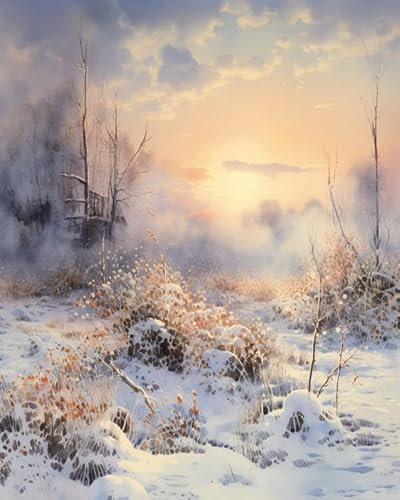 ZMHZMY Digitale Malerei auf Leinwand Verschneite Szene, Rauch, Nebel, Schnee DIY Handgemalt Ölgemälde Kits auf Leinwand Geschenk für Weihnachten Geburtstag Home Haus Deko,40x50cm