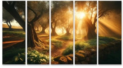 islandburner Bild auf Leinwand Sonnenstrahlen durch Olivenbäume im Wald Bilder Wandbilder Poster