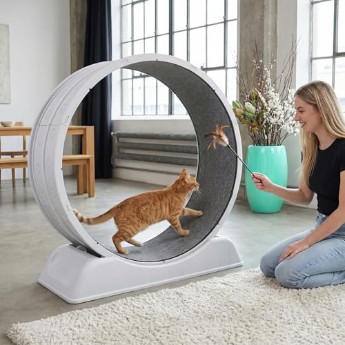 Rueda de Ejercicio para Gatos 80cm, Cat Wheel para Gatos de Interior, Laufrad para Gatos con Cinta de Felpa, Silencioso y Seguro, Hasta 10kg, Juguete para Pérdida de Peso y Entrenamiento Diario (Gris)