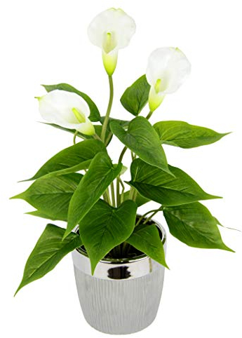 Kunstpflanze Calla im Topf Künstliche Blumen Kunstblumen Seidenblumen Blumen Kunststoff Unechte Deko Gefälschte Real Touch Zimmerpflanze Grünpflanze Topfblume Blumensträuße exotische Lilie Grabdeko