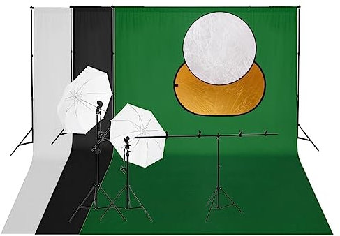 vidaXL Fotostudio Set, Fotostudio Kit mit Leuchten Hintergrund Reflektor, Fotografie Set mit mitgelieferter Tragetasche, Fotostudio Stativ Tageslichtlampe