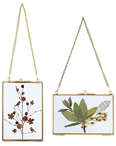 SUMTree 2Pcs Bilderrahmen aus Glas und Metall,Hängende Glas Fotorahmen,Pflanze Probe Clip,Für gepresste Blumen,Fotos,Nur Glasrahmen(Golden,10x15cm,Rechteck)