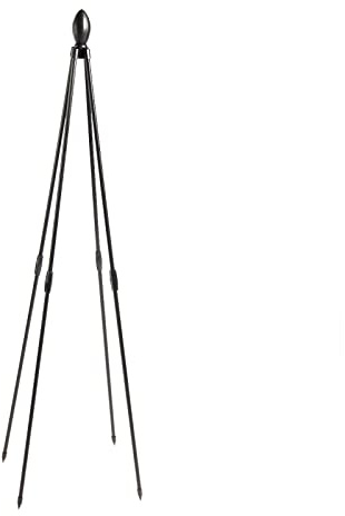 Riuulity Support de Tour de Fleurs, Vigne Grimpante avec Cadre en Fer, Jardin Vertical, Hauteur 120cm ou 180cm pour Fleurs et Vignes (2)