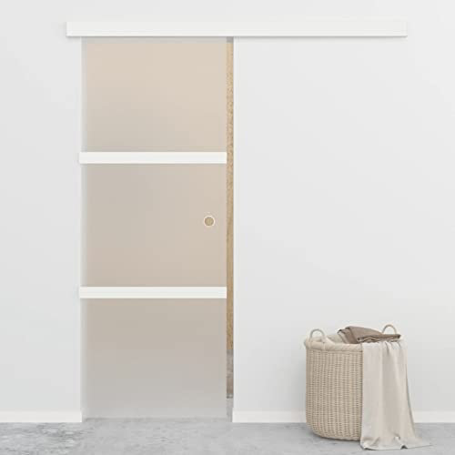 IKAYAA Puerta Corredera de Cristal 76x205 cm Guía, Interior Sala de Estar Salón Oficina Plateado