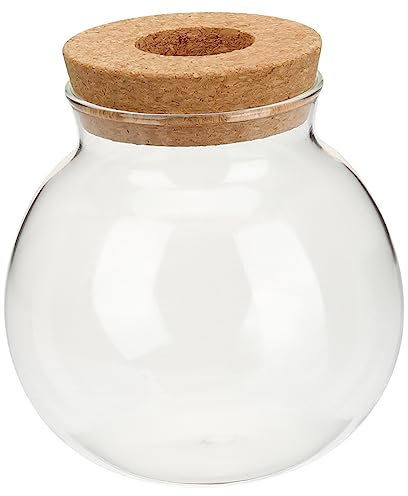 HANABASS Vase en Verre pour Plantes Hydroponiques Petit Boule, Jardinière D’intérieur pour Bureau Et Salon, Récipient Aquatique Transparent Bouchon, Terrarium Végétal Décoratif Moderne