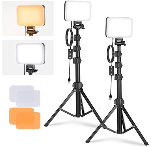 NEEWER BASICS 2 Pack LED Video Light Panel Lighting Kit, Bi Color Dimmable Portable Studio Lights with Stands & Filters, 3200K-5600K 750lux CRI95 for Video Recording Live Streaming Photography, BP66
